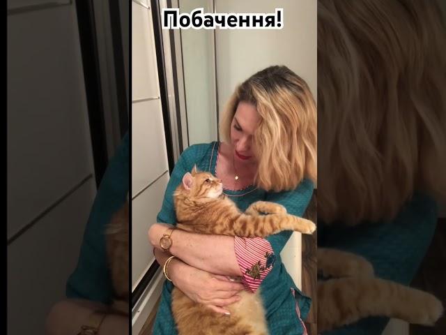 НАРЕЧЕНИЙ