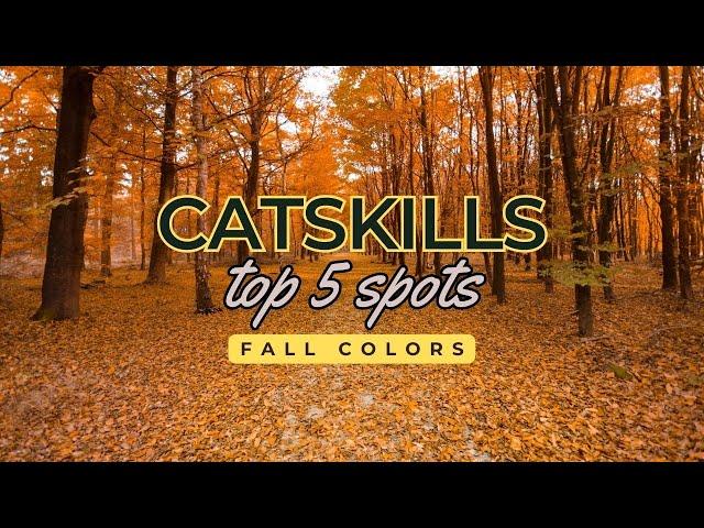 Top 5 Places to See the Fall Colors in the Catskills  | Ultimate Autumn Adventure