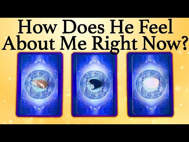 WHAT DOES HE/SHE THINK AND FEEL ABOUT ME RIGHT NOW?| Pick A Card | Love Tarot Reading (Timeless)