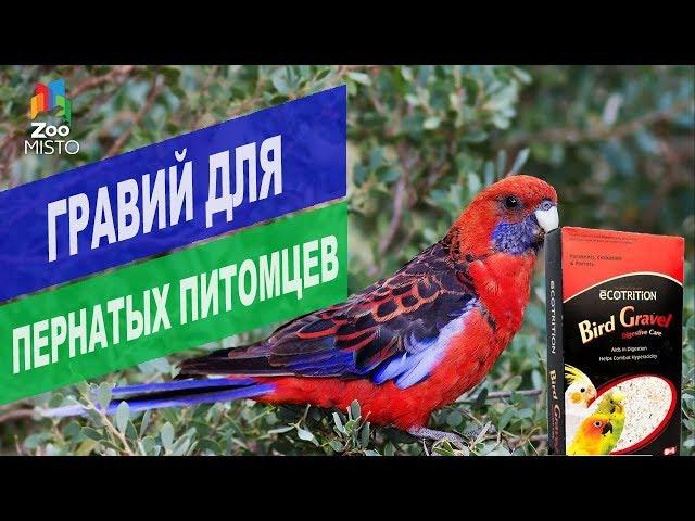 Гравий для птиц | Обзор гравия для птиц от 8в1