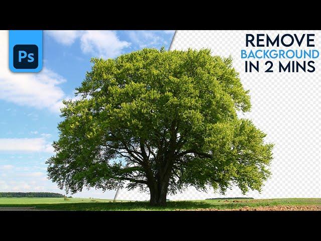 Remove Trees Background in Photoshop | By Using 2 Techniques | Cut Out Trees In Photoshop.