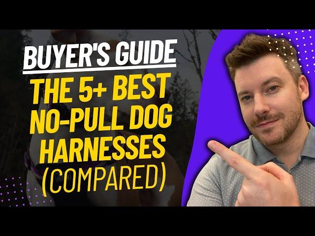 TOP 5 Best No-Pull Dog Harnesses - Best No-Pull Dog Harness Review (2024)