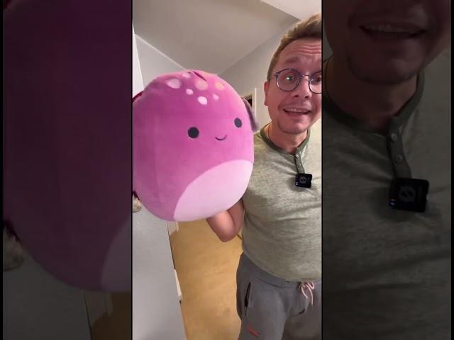 Habt ihr schon ein Squishmallow? #comedy #lustig #dailyshorts #humor #witzig