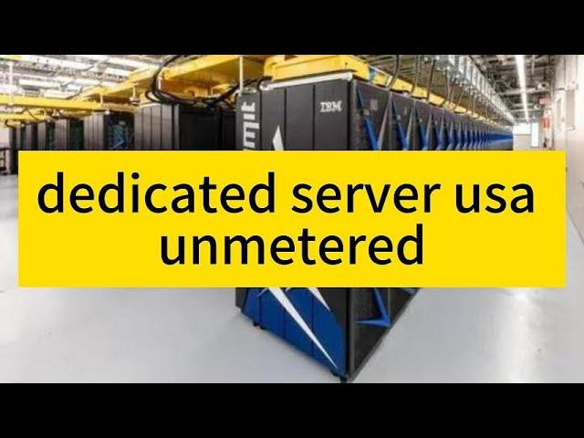 Unleash the Power of Dedicated Server USA Unmetered with Raksmart