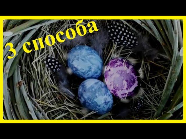 3 Способа Покраска яиц на Пасху чаем Каркаде Без Химии Painting eggs for Easter tea Hibiscus