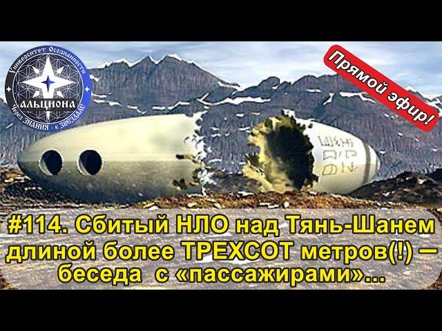 #114. Сбитый НЛО над Тянь-Шанем длиной более 300-т метров(!) - беседа  с "пассажирами"....