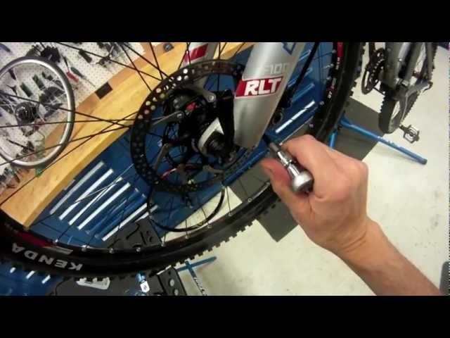 Disc Brake Noise