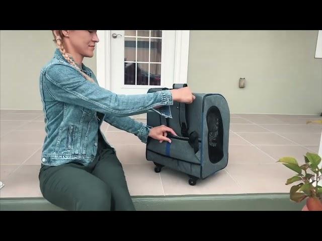 Smarter for urban life! IBIYAYA Liso Backpack Parallel Transport Pet Trolley