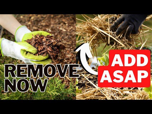 Why You Should Remove THIS Mulch In The Fall!