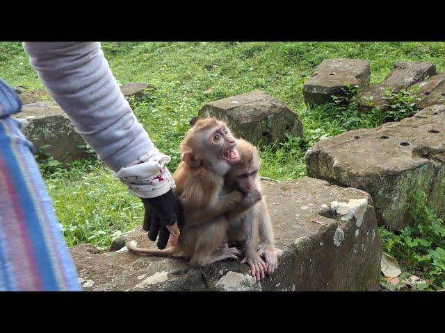 Reaction of Binky and Winky Do miss Mom KT Never want Leave from Her