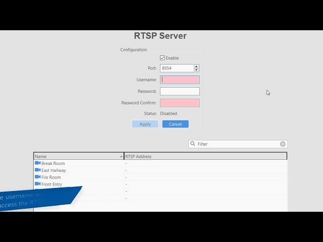 RTSP Server