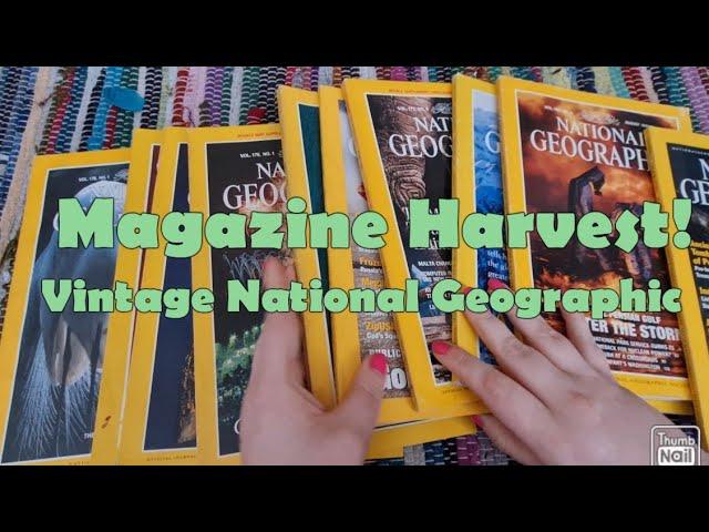 Magazine Harvest | Vintage National Geographic Magazines!! 