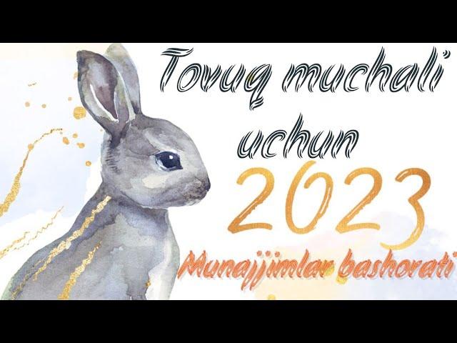 Tovuq muchali uchun Munajjimlar bashorati #2023