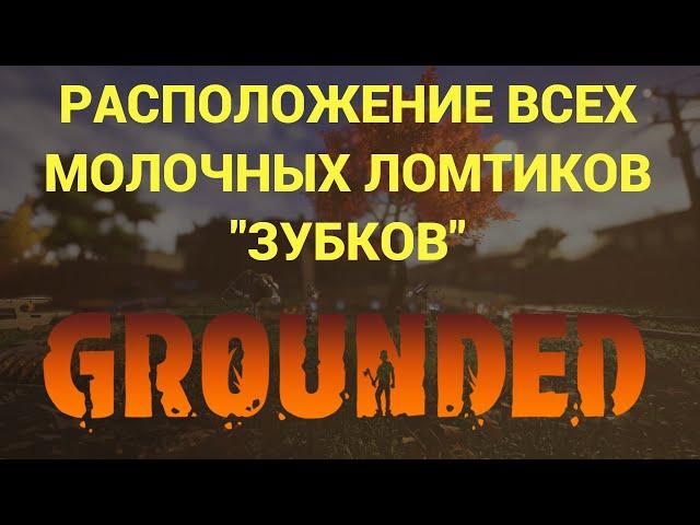 РАСПОЛОЖЕНИЕ ВСЕХ МОЛОЧНЫХ ЛОМТИКОВ "ЗУБКОВ" GROUNDED