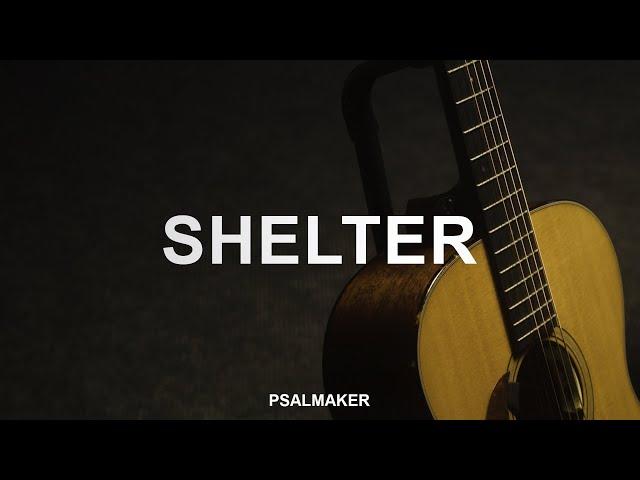 SHELTER|ШЕЛТЕР