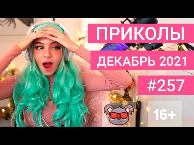  ЛУЧШИЕ ПРИКОЛЫ ДЕКАБРЬ 2021 | Я РЖАЛ ДО СЛЕЗ | Выпуск №257