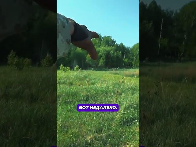 ИЩУ ПОЛЕВОЙ СТАН. первые находки #янеш #металлокоп #копметалла #коп #находка #коп_монет