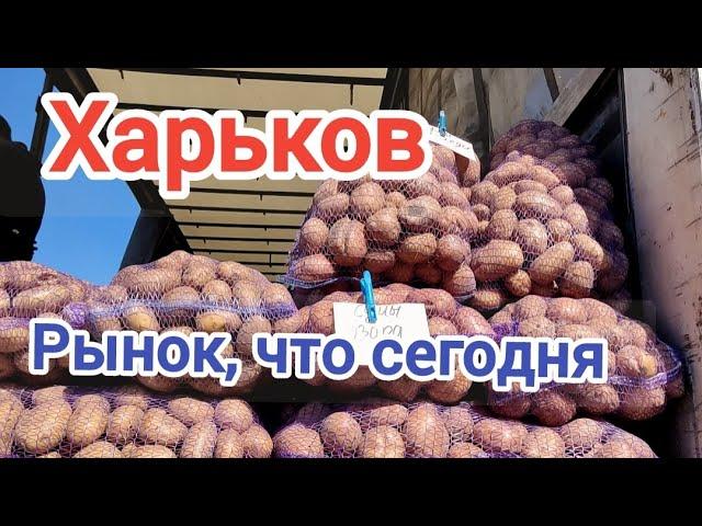 Харьков/Рынок сегодня