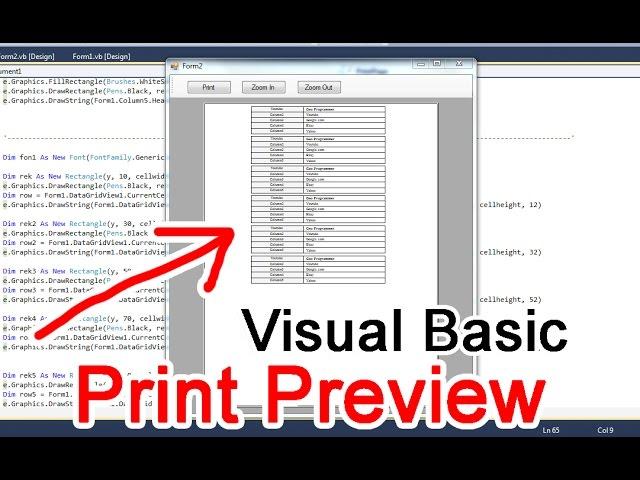 Visual basic 2010 Datagridview, print preview control