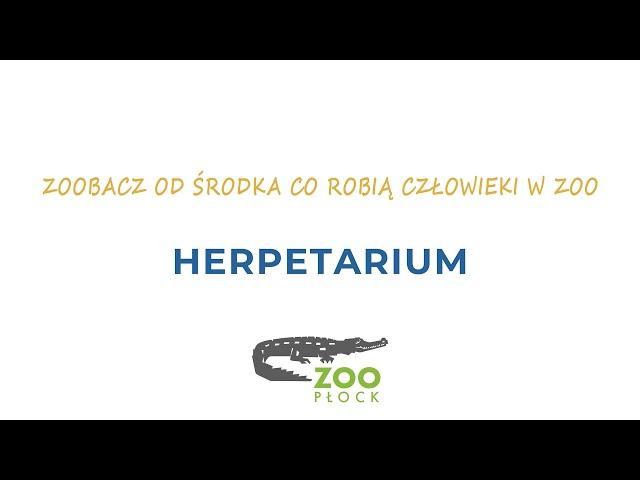 ZOObacz od środka co robią człowieki w ZOO - odc. 1 Herpetarium