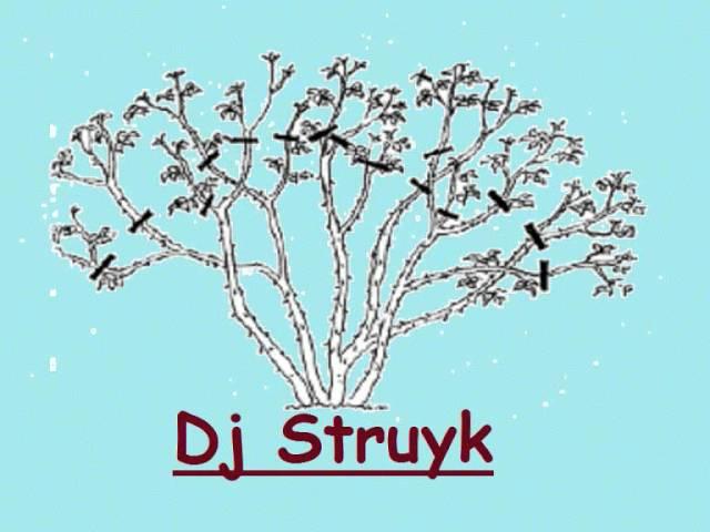 Dj Struyk - Lunatik