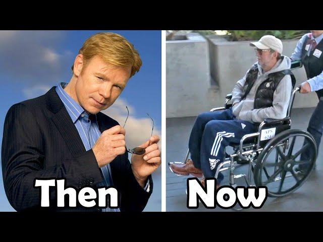 CSI: Miami 2002  Cast Then and Now 2023 [How They Changed]