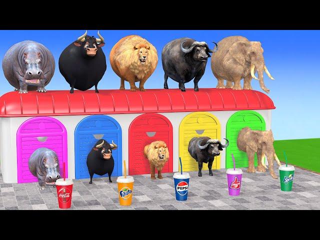 Cow Elephant Lion Gorilla Buffalo Hippo, 3d Animal Long Slide Game Funny, 3d Paint Animals Cage Game