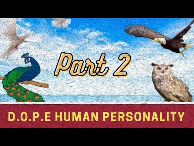 DOPE Personality (Dove, Owl, Peacock, Eagle) - Part 2