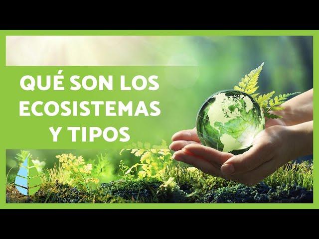 Definición y TIPOS de ECOSISTEMAS ️️