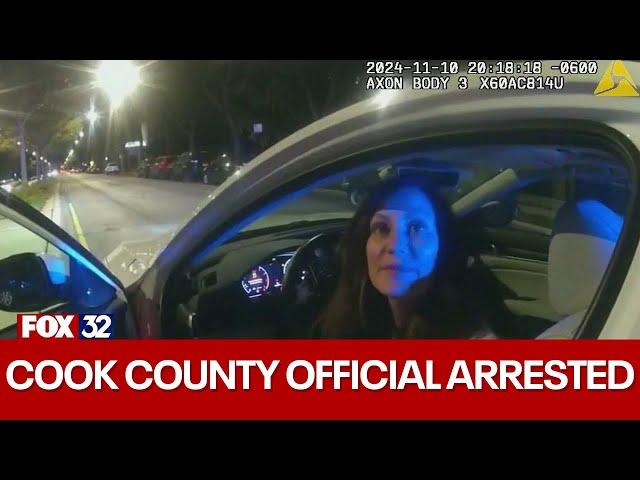 Video of Cook County politician's DUI arrest released