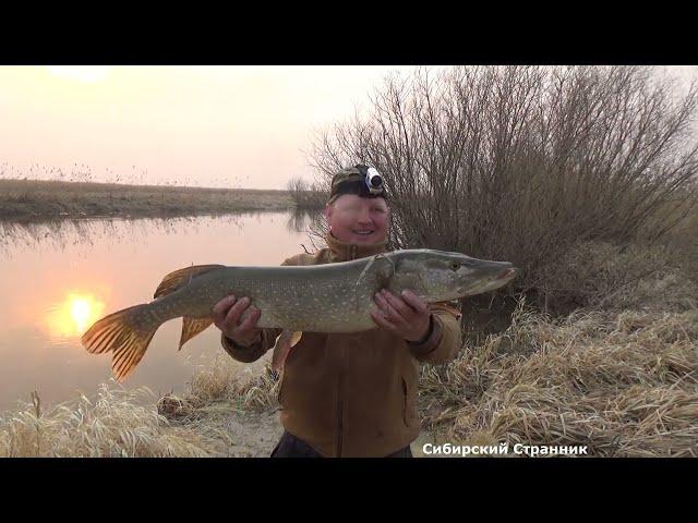 Взял намет и сразу трофей. Рыбалка в дикой Сибири.