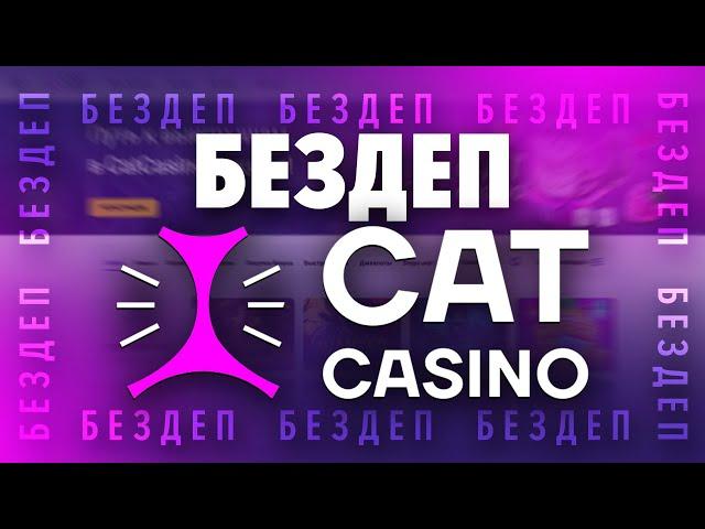 Казино Cat Casino, обзор уникального промокода, бездепозитный бонус 100 фриспинов за регистрацию