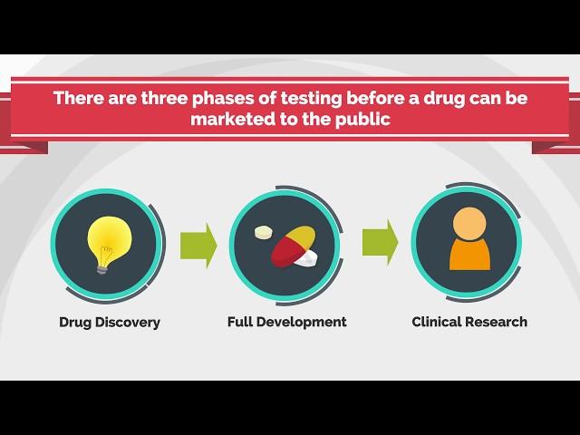 Phases of Clinical Research