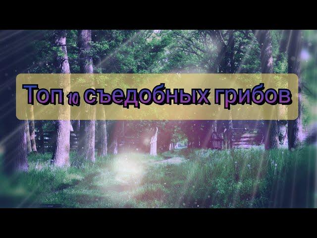 топ 10 съедобных грибов