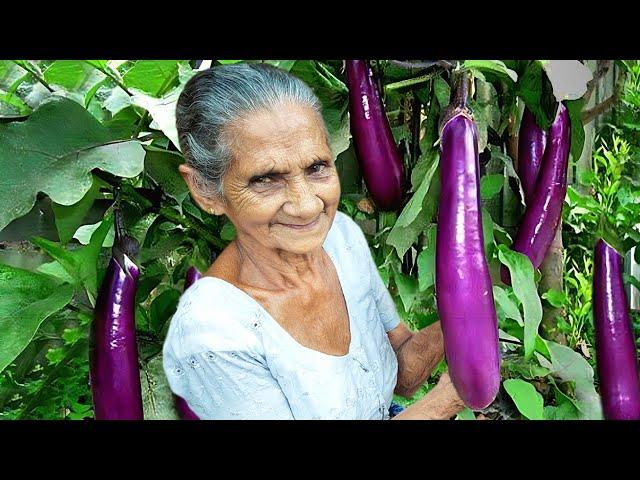 Discover the Mouthwatering Flavors of Brinjal Curry with Dried Fish | Grandma Menu