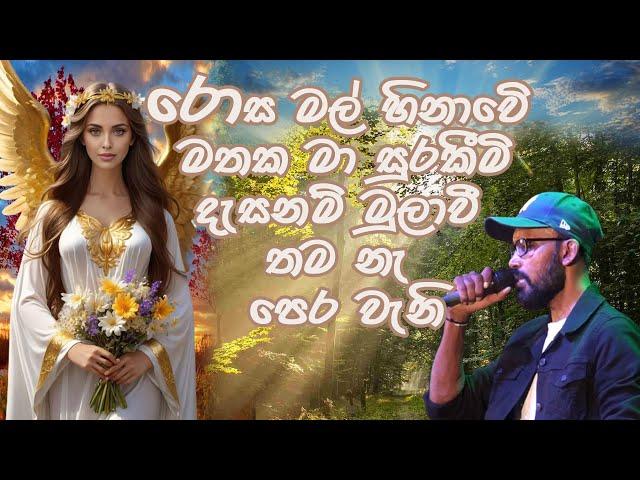 Rosa Mal Hinawe / සමන් ඉන්දිකගේ ආදරණියම ගීතය රෝස මල් හිනාවේ#delighted