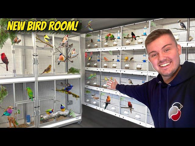 My AMAZING *NEW* Bird Breeding Room!