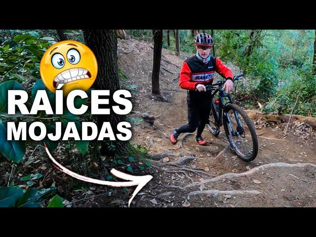 TÉCNICA MTB en BAJADAS: Como afrontar RAÍCES  [ para Principiantes ]