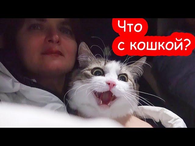 VLOG Настя переехала