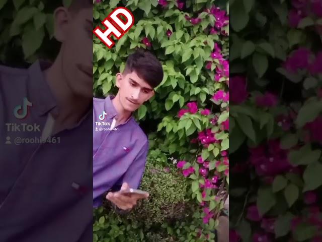 king  Haseeb Abbas vlogs #ytshorts #trendingshorts #foryou #foryoupage