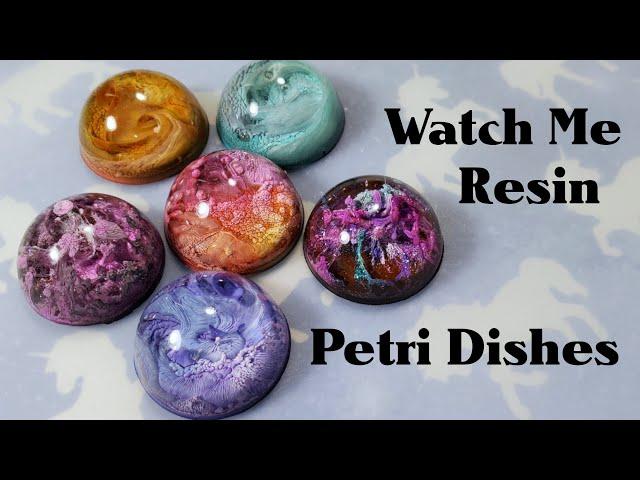 Watch Me Resin #11: Petri Dish Resin Charms