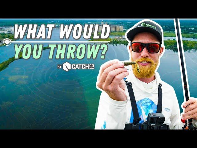 What Would You Throw? | Test Your Fishing Knowledge!