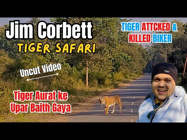 Tiger Attacked & Killed Biker & Forest Staff  - Uncut Video Jim Corbett National Park Safari