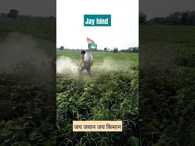 15अगस्त#short#jayhind#jay jawan jay kisan#agriculture#farmer#dailyvlog#minivlog