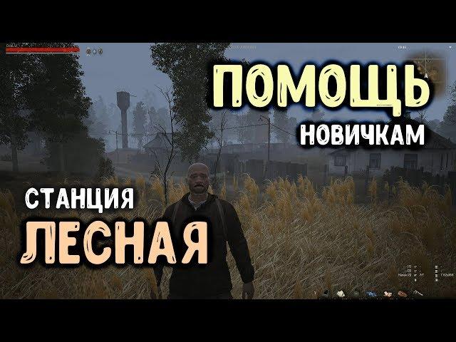 STALKER ОНЛАЙН / Станция Лесная / Помощь новичкам