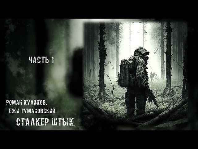 «Штык» 1/2 - Роман Куликов, Ежи Тумановский [ S.T.A.L.K.E.R. | Аудиокнига ] (реставрация, муз.-эфф.)