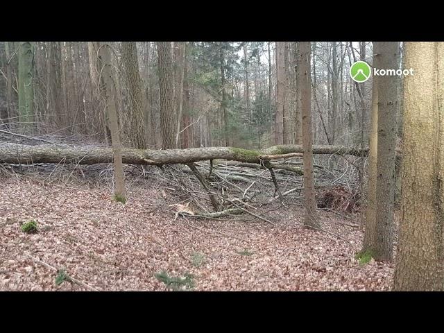 Auf stürmischen Wegen von Heimbuchental zum Heimathof