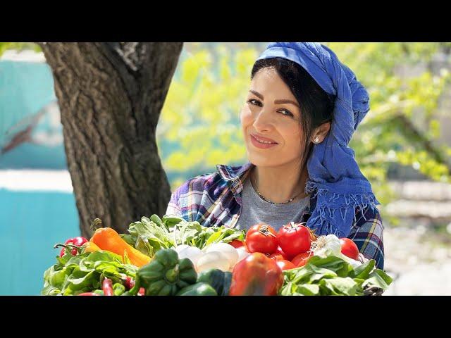 #12 Cooking a Colorful Omelette On Campfire With My Parents| Planting New Flowers| Village Life Iran