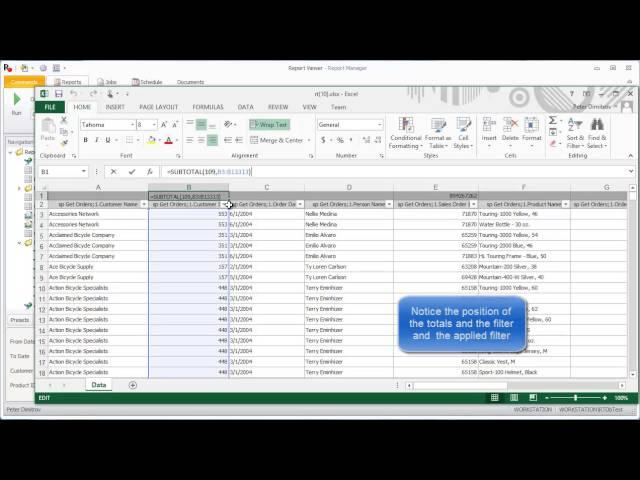 R-Tag Crystal Reports Export To Excel