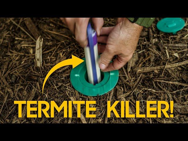 Termite Protection for Remodel & New Construction : Here’s what you NEED to know!